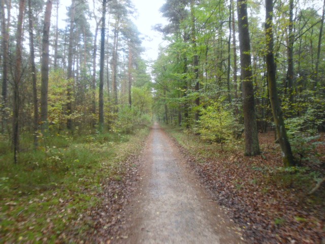 CTF-Permanente Neustaedter Holz 054